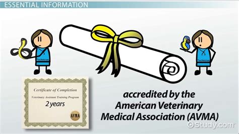 Vet Tech Learning .